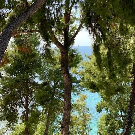 Olive Apartmán Skála Foúrkas