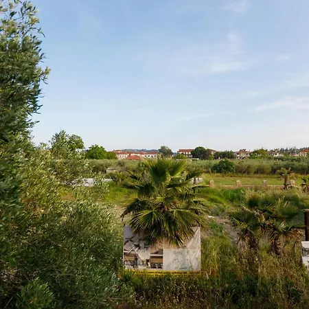 Olive Lejlighed Skála Foúrkas