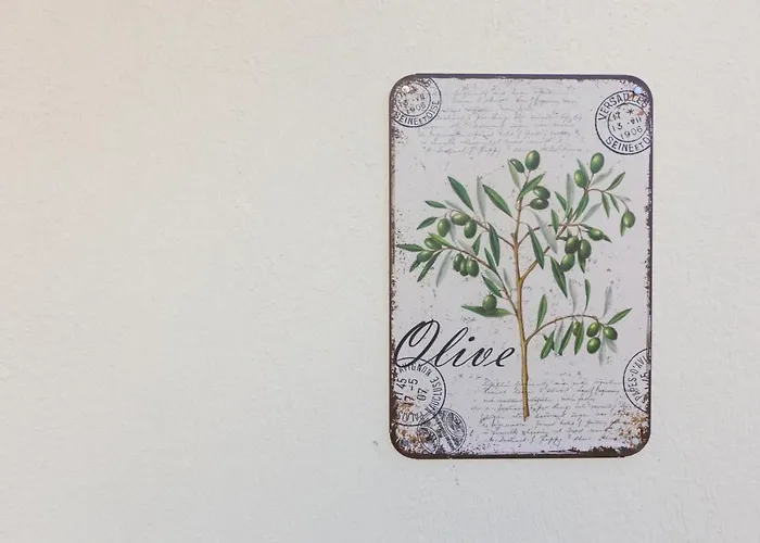 Апартаменты Olive