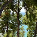 Olive Apartment Skala Fourkas