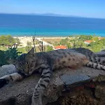 Olive * Skala Fourkas